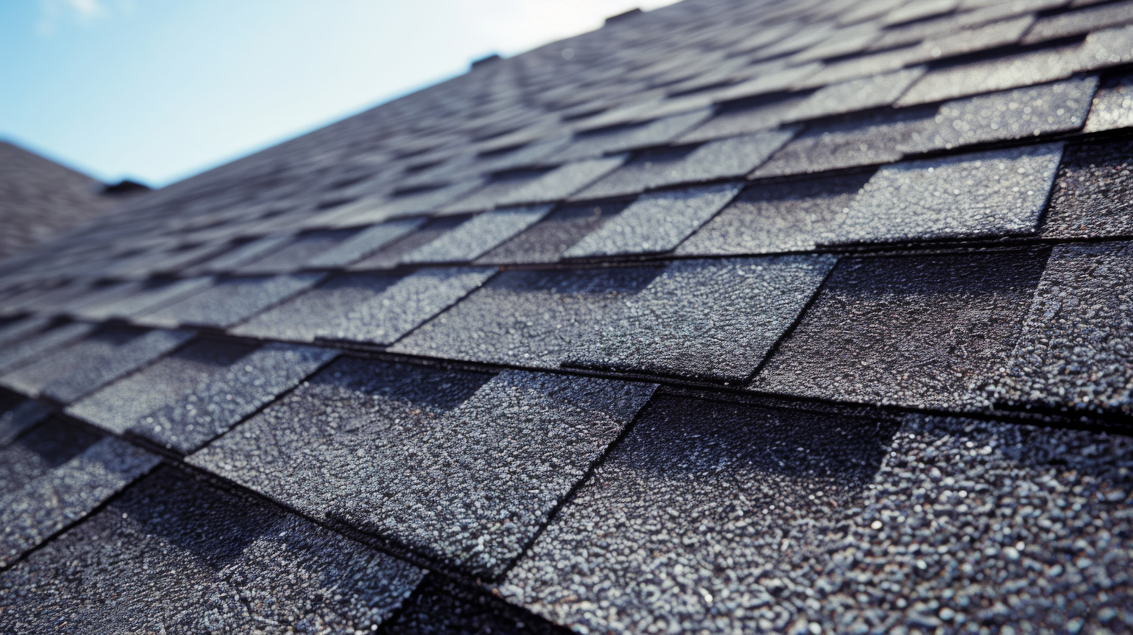 Shingle Roofing