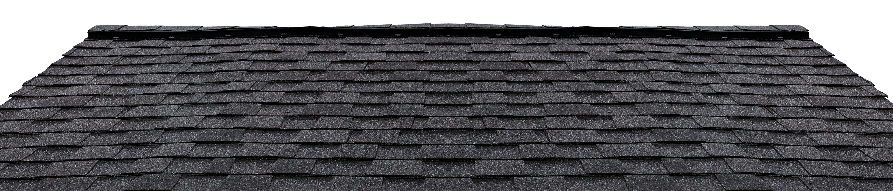 Dark shingle roof